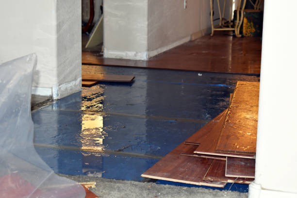 Professional Sewage Cleanup technician working in Breckenridge, MI