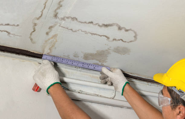 Reliable Sewage Cleanup contractor in Breckenridge, MI by Water Damage Irwin